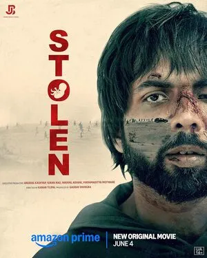 Stolen 2025 Hindi WEB-DL 720p - 480p - 1080p Movie Poster