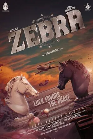 Zebra 2024 Hindi Dual Audio WEB-DL 720p - 480p - 1080p Movie Poster