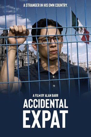 Accidental Expat (2025) WEBRIP Hindi (MULTI AUDIO) 720p – 480p – 1080p Movie Poster