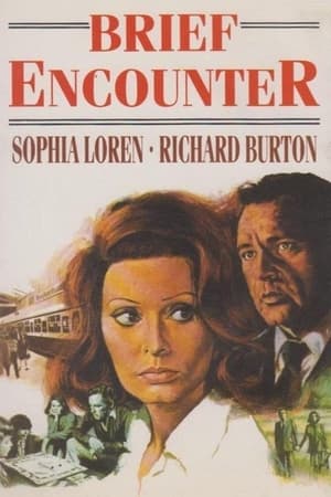 Brief Encounter 1974 Hindi Dual Audio 720p BluRay [1.3GB] Movie Poster