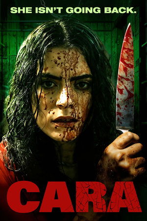 Cara (2024) WEBRIP Hindi (MULTI AUDIO) 720p – 480p – 1080p Movie Poster