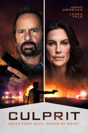 Culprit (2025) WEBRIP Hindi (MULTI AUDIO) 720p – 480p – 1080p Movie Poster