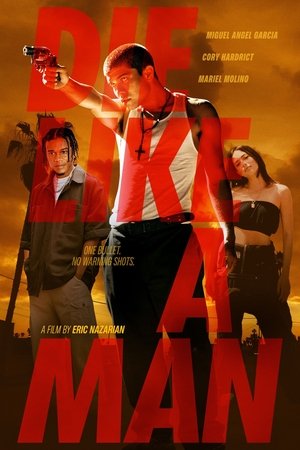 Die Like a Man (2025) WEBRIP Hindi (MULTI AUDIO) 720p – 480p – 1080p Movie Poster