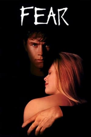 Fear (1996) Hindi Dual Audio 480p BluRay 300MB Movie Poster