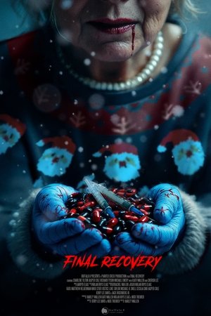 Final Recovery (2024) WEBRIP Hindi (MULTI AUDIO) 720p – 480p – 1080p Movie Poster