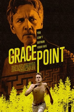 Grace Point (2023) WEBRIP Hindi (MULTI AUDIO) 720p – 480p – 1080p Movie Poster
