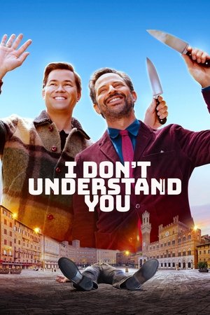 I Don't Understand You (2024) WEBRIP Hindi (MULTI AUDIO) 720p – 480p – 1080p Movie Poster