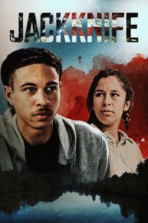 Jackknife (2024) WEBRIP Hindi (MULTI AUDIO) 720p – 480p – 1080p Movie Poster