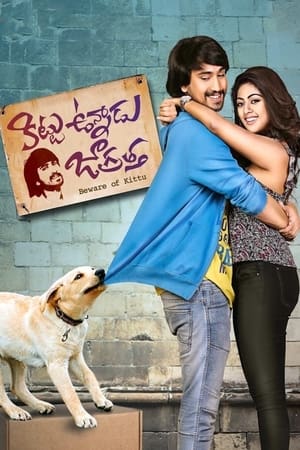 Kittu Unnadu Jagratha 2017 Hindi Dual Audio 480p UnCut HDRip 400MB Movie Poster
