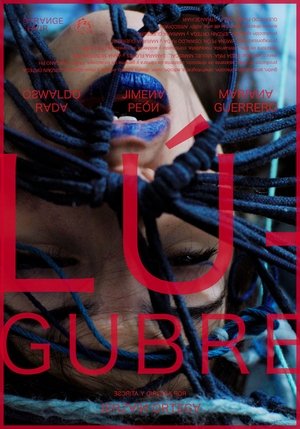 Lúgubre (2024) WEBRIP Hindi (MULTI AUDIO) 720p – 480p – 1080p Movie Poster