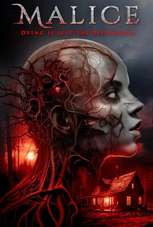Malice (2025) WEBRIP Hindi (MULTI AUDIO) 720p – 480p – 1080p Movie Poster