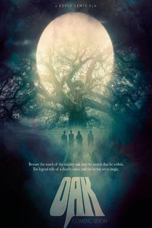 Never Any Blue (2025) WEBRIP Hindi (MULTI AUDIO) 720p – 480p – 1080p Movie Poster