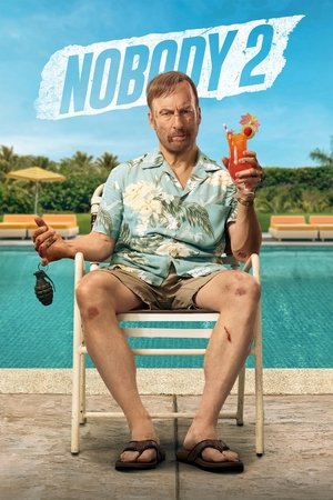 Nobody 2 (2025) WEBRIP Hindi (MULTI AUDIO) 720p – 480p – 1080p Movie Poster