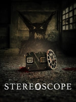 Stereoscope (2024) WEBRIP Hindi (MULTI AUDIO) 720p – 480p – 1080p Movie Poster