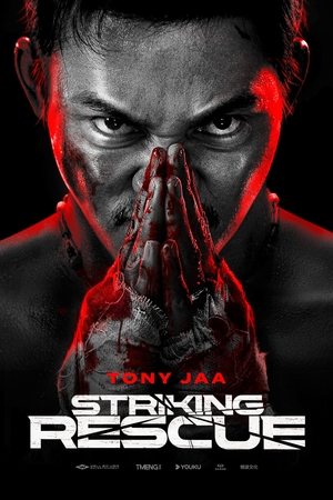 Striking Rescue (2024) WEBRIP Hindi (MULTI AUDIO) 720p - 480p - 1080p Movie Poster