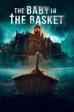 The Baby in the Basket (2025) WEBRIP Hindi (MULTI AUDIO) 720p – 480p – 1080p Movie Poster