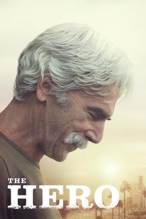 The Hero (2017) Hindi Movie 480p HDRip - [300MB] Movie Poster
