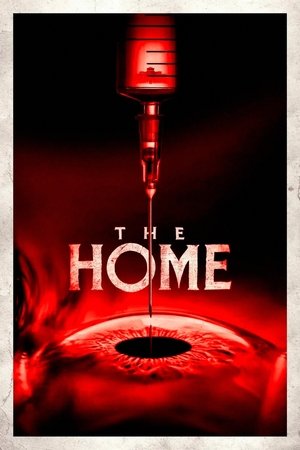 The Home (2025) WEBRIP Hindi (MULTI AUDIO) 720p – 480p – 1080p Movie Poster