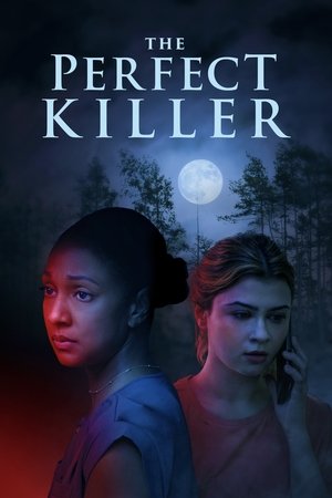 The Perfect Killer (2025) WEBRIP Hindi (MULTI AUDIO) 720p – 480p – 1080p Movie Poster