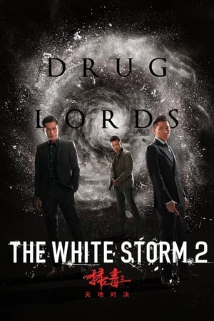The White Storm 2: Drug Lords (2019) Hindi (Org) 720p HDRip [950MB] Movie Poster