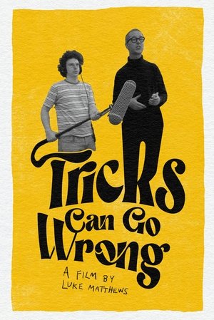 Tricks Can Go Wrong (2024) WEBRIP Hindi (MULTI AUDIO) 720p – 480p – 1080p Movie Poster